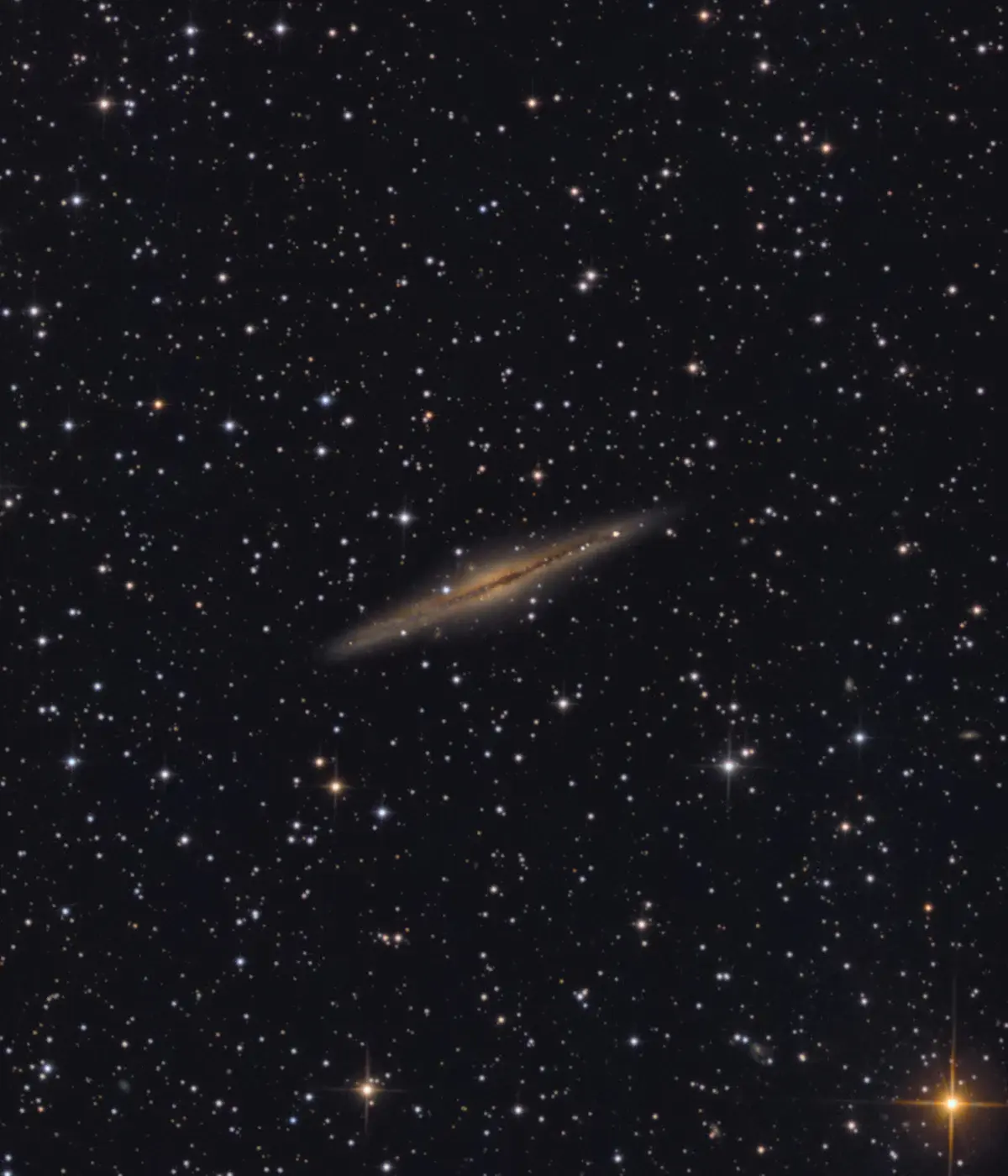 NGC 891 получена на МТ-90(снимок с астрофорума, владельца монтировки)